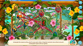 Festival Journey: Secrets of Rio Collector's Edition