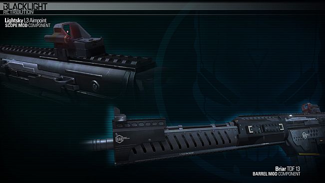 Blacklight: Retribution - Starter Pack