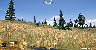 Birds Hunter