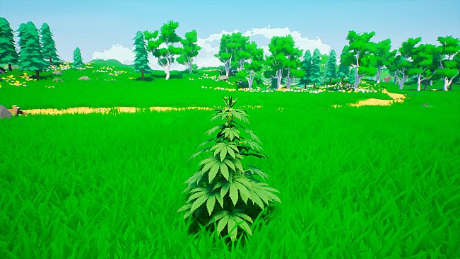 Weed Simulator