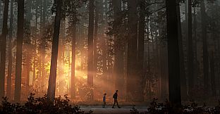 Life is Strange 2 - Japanese Language Pack