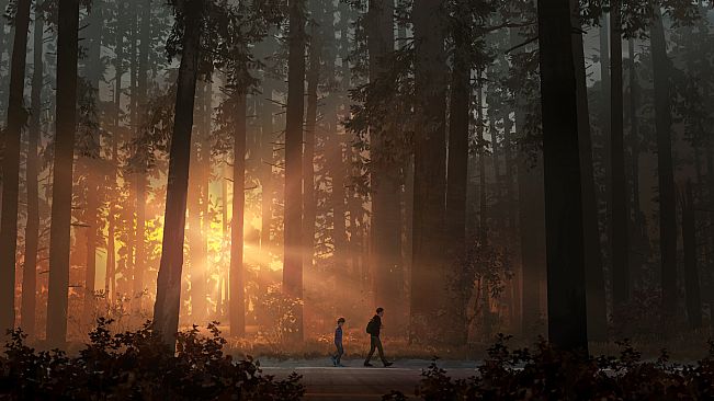 Life is Strange 2 - Japanese Language Pack