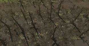 Zombie Self-Cultivation