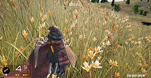 Birds Hunter