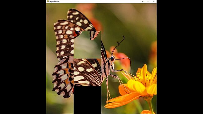 hgmGame-butterfly