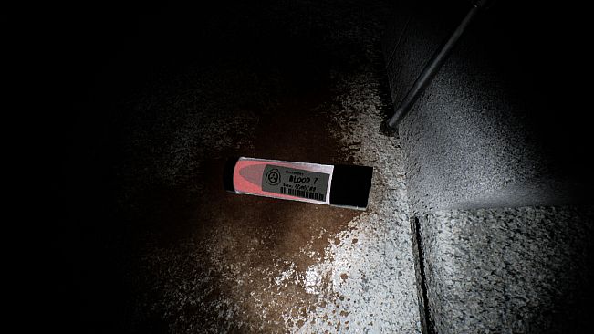 Staircase55: A SCP-087 Story