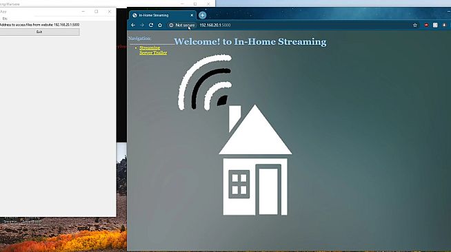 In-Home Streaming