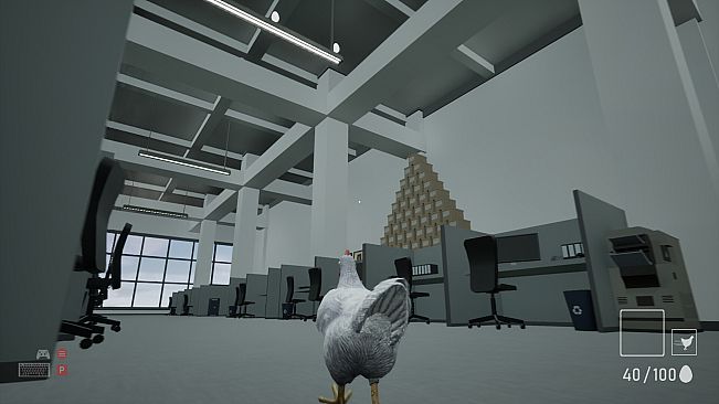A Chicken In The Office