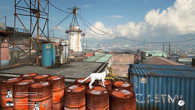 LITTLE CAT TINY STRAYS