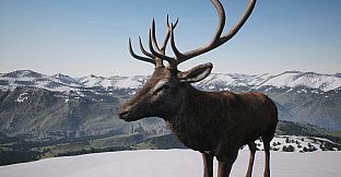 PROJECT HUNT - Trophy Sanctuary