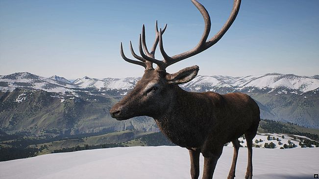 PROJECT HUNT - Trophy Sanctuary