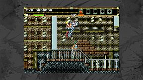 Earnest Evans Collection