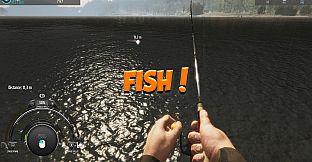 Fishing Adventure: Finland Reserve