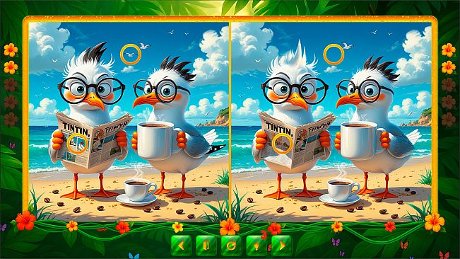 BirdQuest  Find the Difference