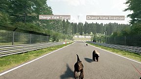 Animal Race Run VR