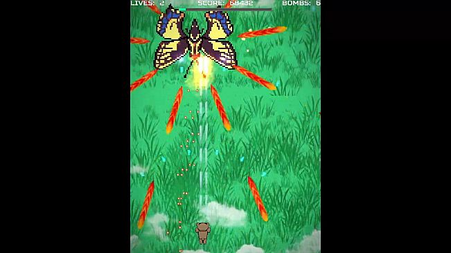 BEAR SHOOTER くまっとシューティング