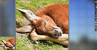 Jigsaw Puzzle Pack - Pixel Puzzles Ultimate: Australia