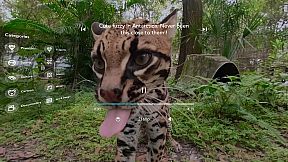 VeeR VR:VR Video and Movie Platform