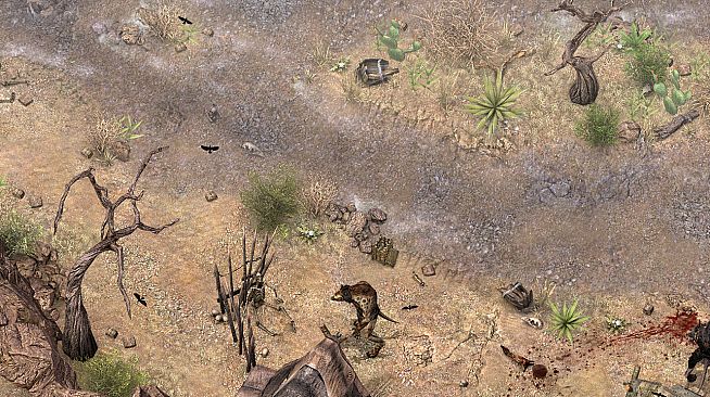 Realms Beyond: Ashes of the Fallen