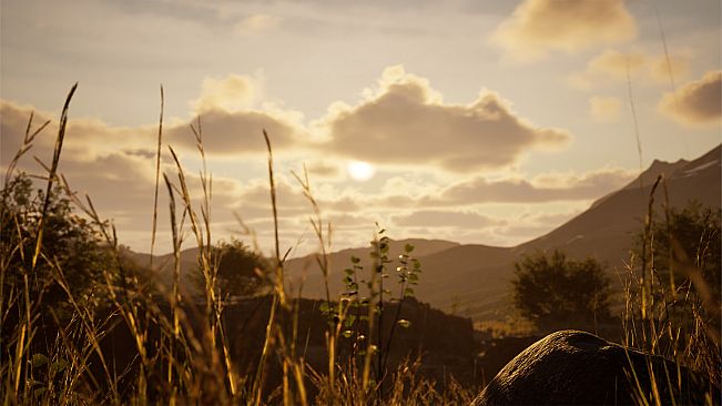 Stone Simulator – Just Be a Rock