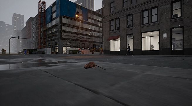 New York Rat Simulator