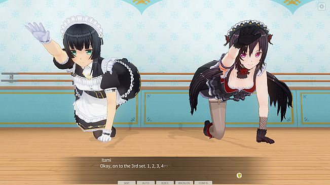 CUSTOM ORDER MAID 3D2 The Extreme Sadist queen who arouses the hearts of masochists GP-01