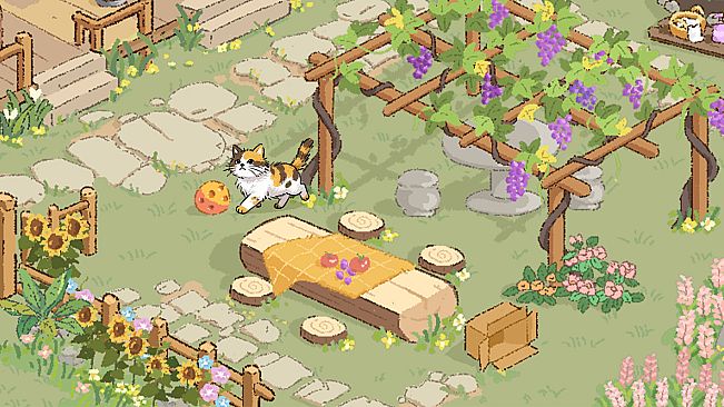 The Courtyard Known Only to Furballs