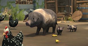 Foundation: Harvest Festival