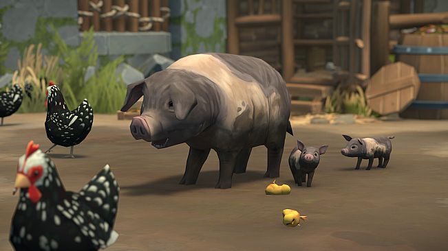 Foundation: Harvest Festival