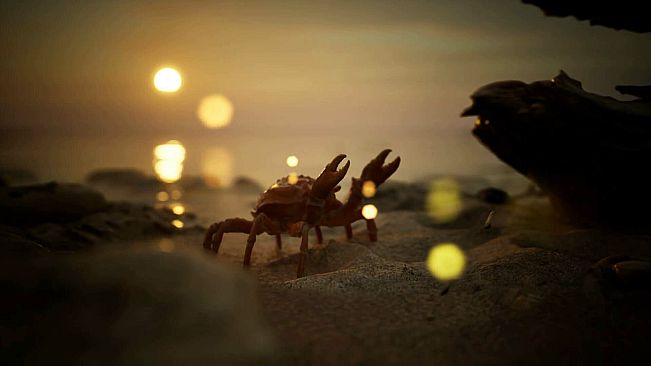 Waking Tides Art Book