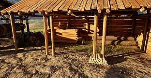 Medieval Life: Chronicles Of Annora