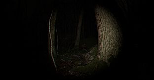 Playback Trauma: The Dog