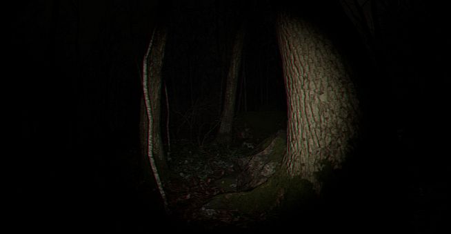 Playback Trauma: The Dog