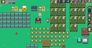 魔法书起源(Origin of the magic book)