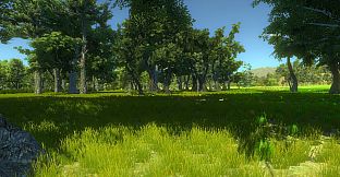 Turkey Hunting Unlimited