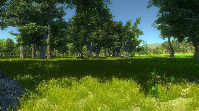 Turkey Hunting Unlimited