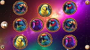 Space Memory: Parrots