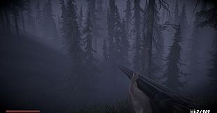 Horror in the forest