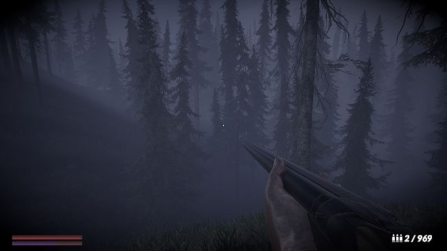 Horror in the forest