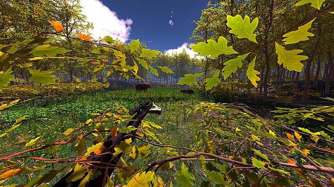 Hunter Simulator VR : Wild Hunting