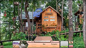 I Love Finding Birds Collector's Edition