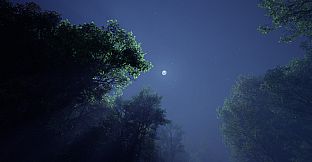 As the Sky Fades