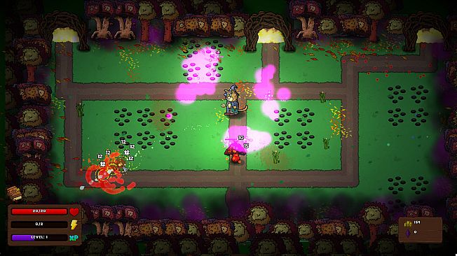 Whiskers and Wizardry