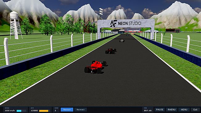 Race Performance Manager
