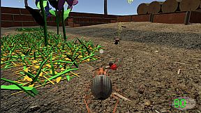 Insect: Bombardier beetle