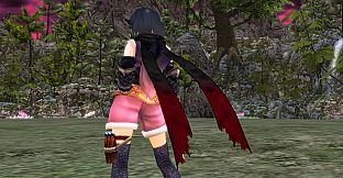 Onigiri Premium Support Pack