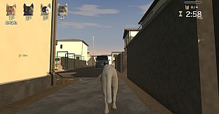 AbsoluteNeko