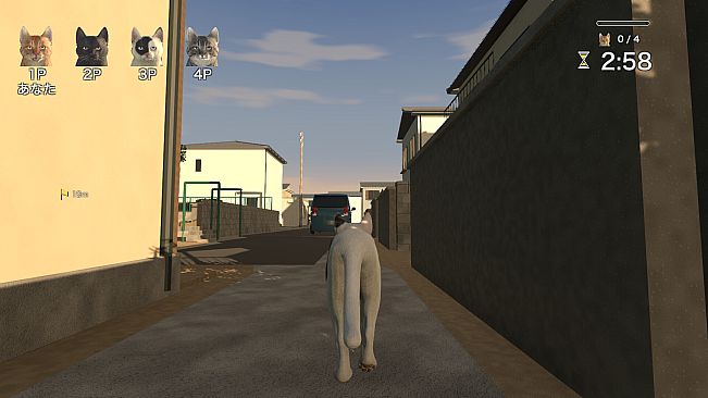 AbsoluteNeko
