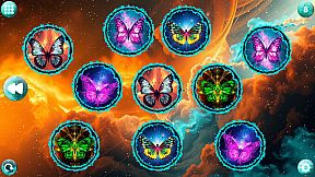 Space Memory: Butterflies