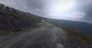 DiRT Rally 2.0 - Wales (Rally Location)